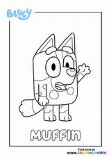 Bluey Bingo  Coloring Pages For Kids sketch template