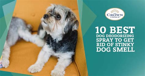 Top 10 Best Dog Deodorizing Spray Products - The Crown Choice