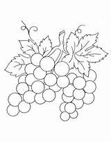 Grapes Coloring Pages Free Printable PDF sketch template