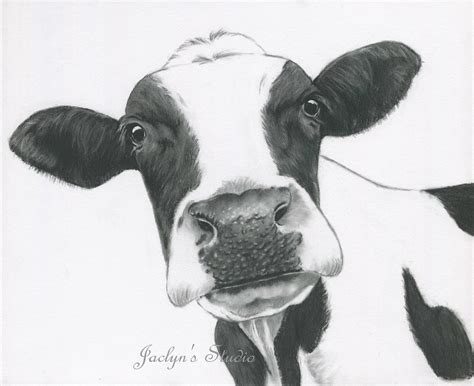 Cow Head Painting at PaintingValley.com | Explore collection of Cow ...