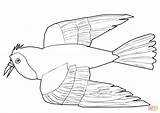 Albatross Coloring Page At GetColoringscom  Free Printable colorings sketch template