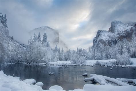 Winter Nature Photos