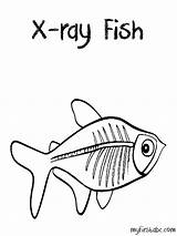 X ray Coloring Pages & Books  100% FREE And Printable sketch template