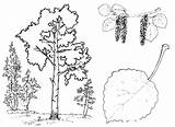 Online coloring Pages tree Coloring For Kids sketch template