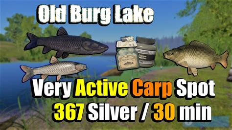 🎣Russian Fishing 4 RF4 - Old Burg Lake Very Active Carp Spot#288 - YouTube