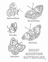 Coloring & Activity Book  Rocky Mountain National Park – sketch template