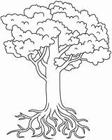 Tree with Roots coloring Page  ColouringPages sketch template