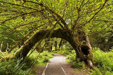 Best Seattle Hiking Trails for Beginners