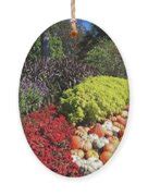 Cheekwood Gardens Fall Harvest Scene Photograph by Marian Bell - Fine Art America