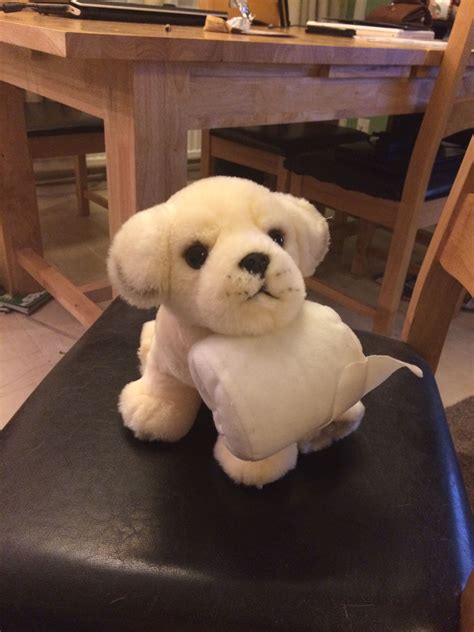 Pin by Sarah Jordan on Soft toys obsession! | Andrex puppy, Puppies, Soft toy