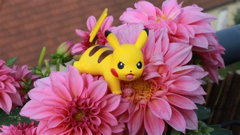 20 Best Pink-Colored Shiny Pokémon Worth Catching – - Undergrowth Games