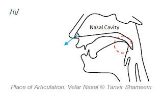 The Nasal Consonants - Tanvir's Blog