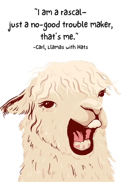 67 Adorable Llama Quotes, Captions & Sayings - Darling Quote