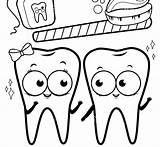 The Best Free Tooth coloring Page Images Download From 374  sketch template