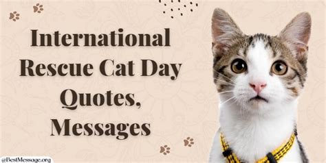 Adorable Rescue Cat Day Messages, Cat Quotes for instagram