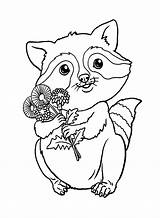 Cute Raccoon With Flowers Coloring Page  Free Printable Pages sketch template