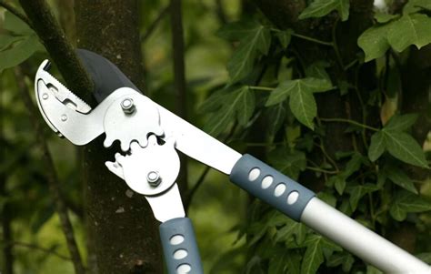 The Best Loppers for Pruning Trees and Shrubs | Leading Lifestyle