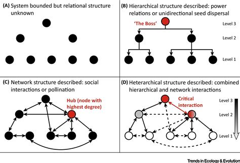 Heterarchies: Reconciling Networks and Hierarchies: Trends in Ecology & Evolution