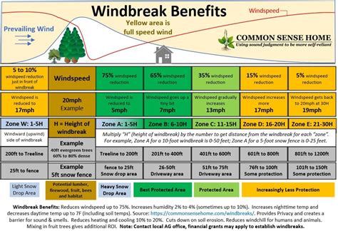 Windbreaks - You'll be Amazed at What They Can Do