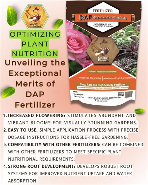 DAP Fertilizer For Plants - SHEHRI KISAAN