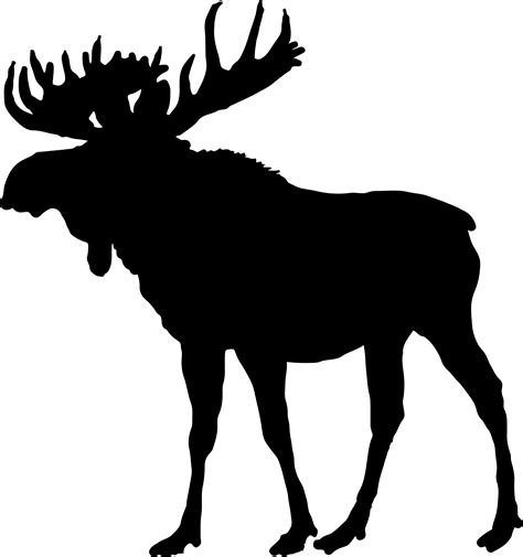 Moose Deer Animal Silhouettes Clip art - deer png download - 2150*2293 ...