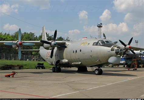 Antonov An-12... - Untitled | Aviation Photo #1229025 | Airliners.net