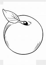 Coloring Pages  Printable Apricot Page For Toddlers sketch template