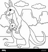Baby Kangaroo Coloring Pages sketch template