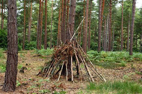 How to Build a Survival Shelter • Air Gun Maniac