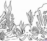Seaweed Coloring Pages At GetDrawings  Free Download sketch template