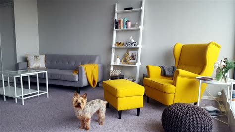 a dog standing in the middle of a living room with yellow chairs and ottomans