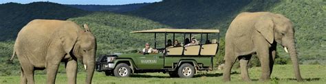 Shamwari Game Reserve Safaris - Tours, packages and lodging