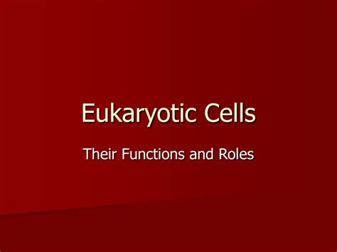 Eukaryotic Cells