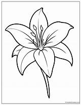 34 Lily Coloring Pages Free Printables For All Ages sketch template