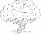 Redwood Tree Coloring Pages At GetDrawings  Free Download sketch template