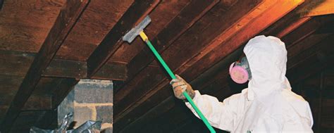 How to Prevent Attic Water Damage & Attic Mold