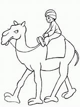 Free Printable Camel Coloring Pages For Kids sketch template