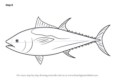 Learn How to Draw an Atlantic Bluefin Tuna (Fishes) Step by Step ...