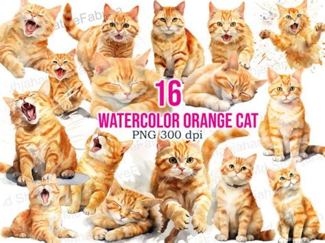 Watercolor Orange Tabby Cats Clipart Graphic by Md Shahjahan · Creative Fabrica