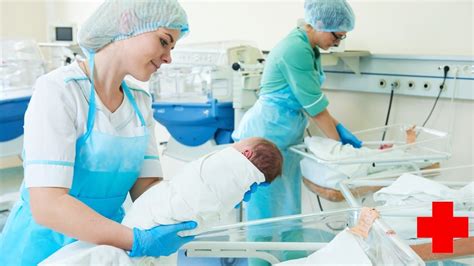 Neonatal Nurse Colleges: The Top Schools in 2024