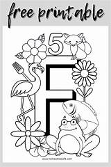 Coloring Letters Alphabet Pages Free  sketch template
