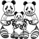 Panda Family Coloring Page · Creative Fabrica sketch template