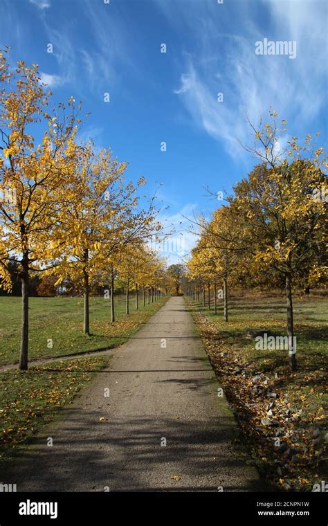 Autumn in Germany Stock Photo - Alamy