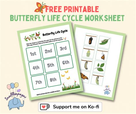 Butterfly Life Cycle Worksheet Printable PDF - SnuffleupagusPH's Ko-fi Shop - Ko-fi ️ Where ...