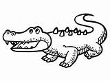 Cute Baby Crocodile Coloring Page  Free Printable Pages For Kids sketch template