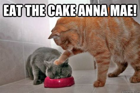 eat the cake anna mae! - eat the cake - quickmeme