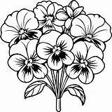 Premium Vector  Pansy Flower Outline Illustration coloring Book Page sketch template