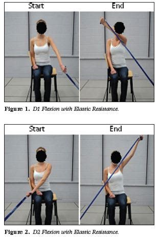 Shoulder Flexion D2 Extension