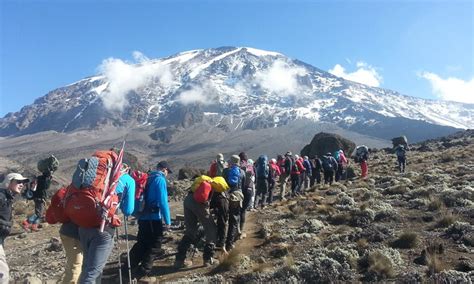 When is the Best Time to Climb Mount Kilimanjaro? | Uganda Safaris