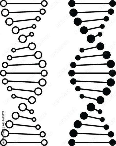 DNA Strand Graphic Clipart Set - 3D Stock Vector | Adobe Stock